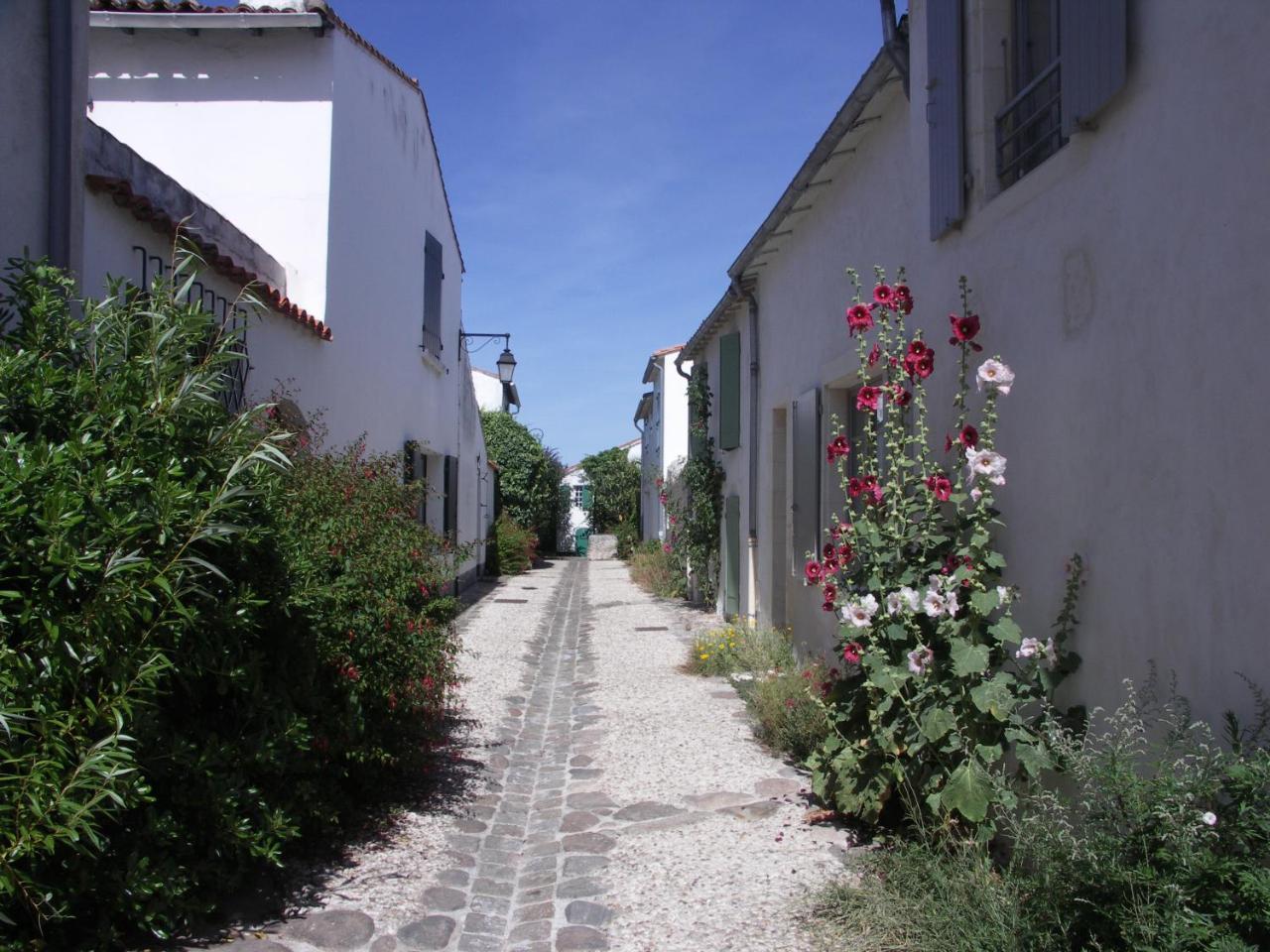 Appartement Liseron Saint-Martin-de-Ré Exteriér fotografie